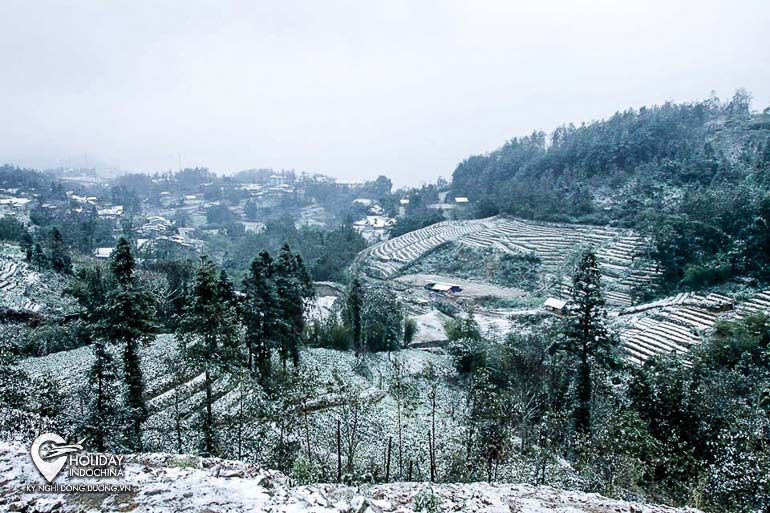 combo du lịch sapa