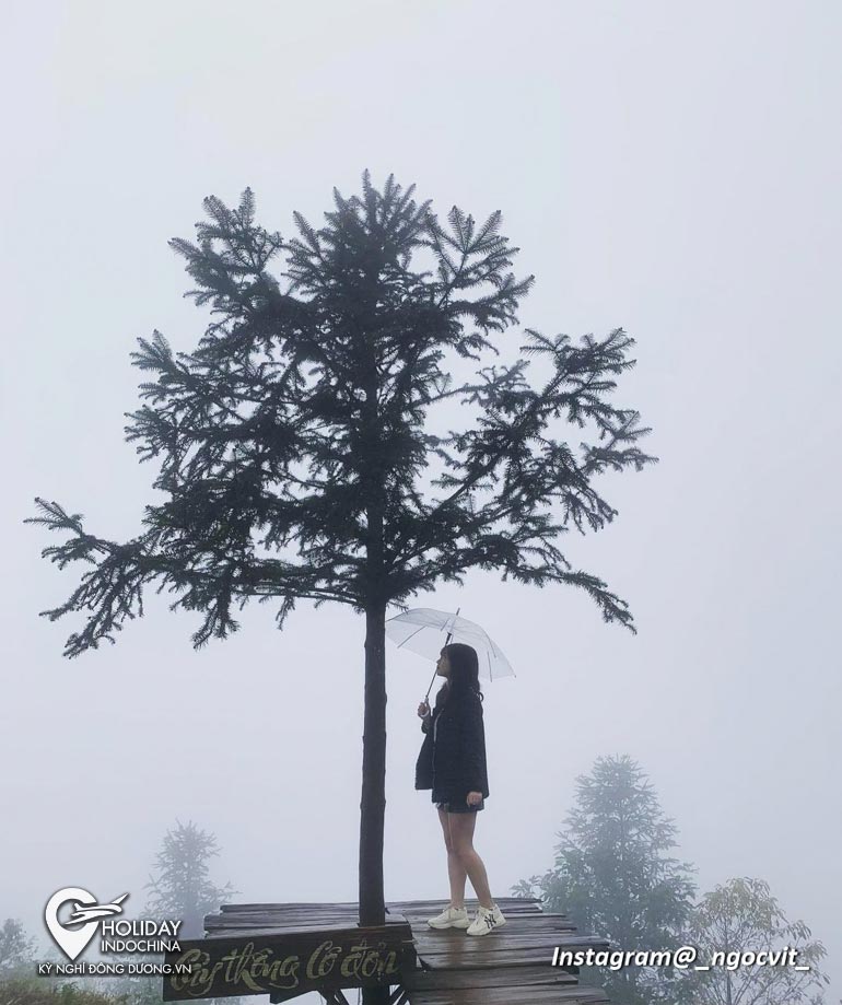tour sapa từ hà nội
